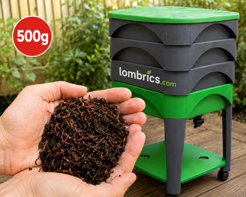 Lombrics 500g vers de terre - 500g,
