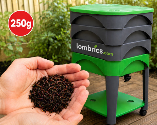 250g vers terre pour - vers,